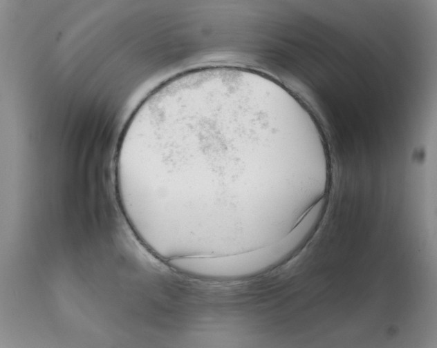X0000112011288200909141117