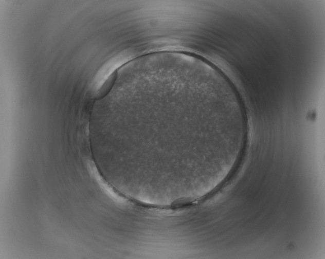 X0000112011289200909141117