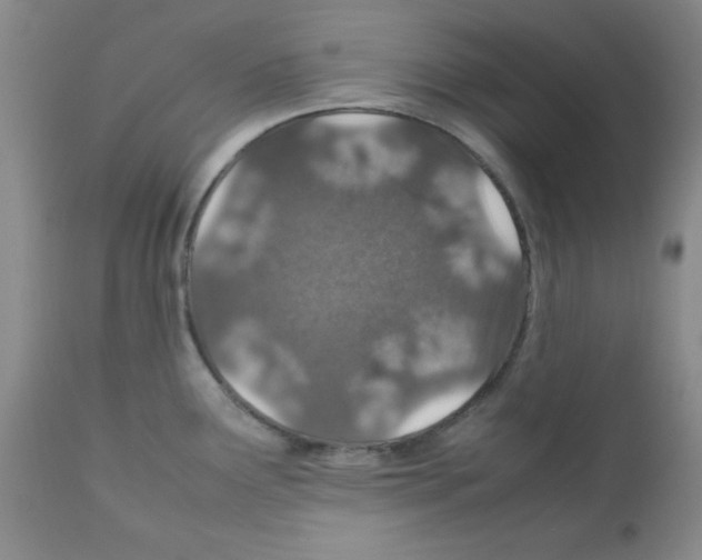 X0000112011291200909141117