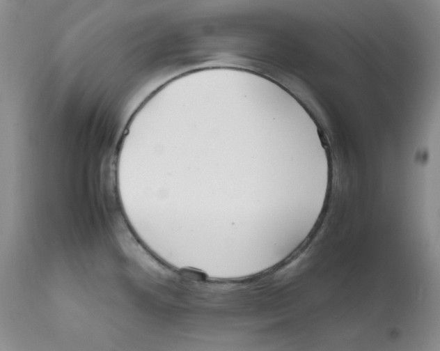 X0000112011292200909141117