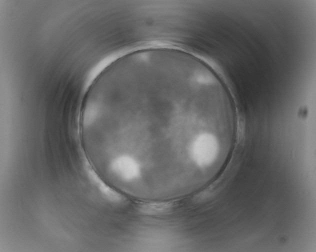 X0000112011294200909141117