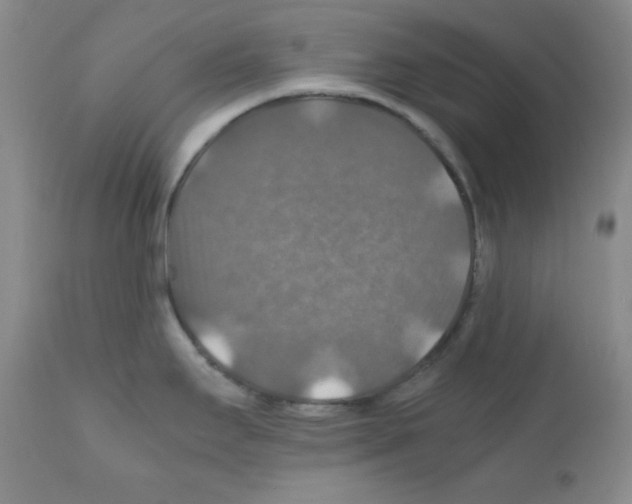 X0000112011295200909141117
