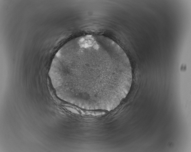 X0000112011297200909141116