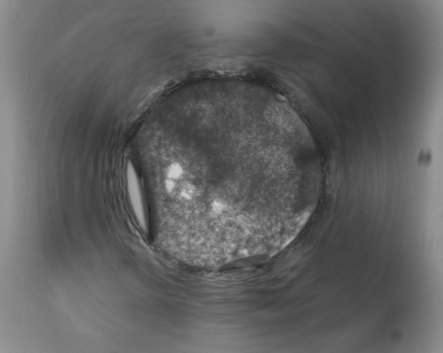 X0000112011298200909141116
