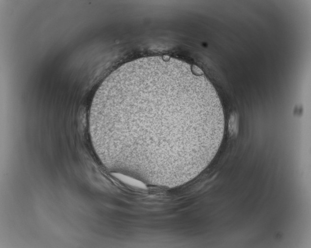 X0000112011299200909141116