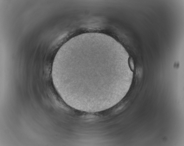 X0000112011300200909141116