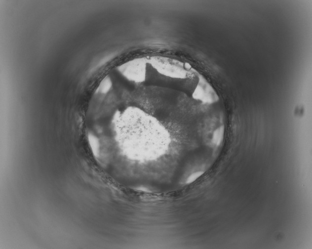X0000112011302200909141116