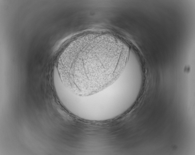 X0000112011304200909141116