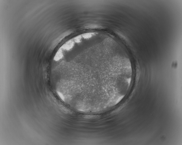 X0000112011305200909141116