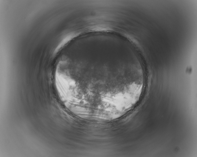 X0000112011306200909141116