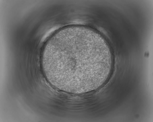 X0000112011307200909141116