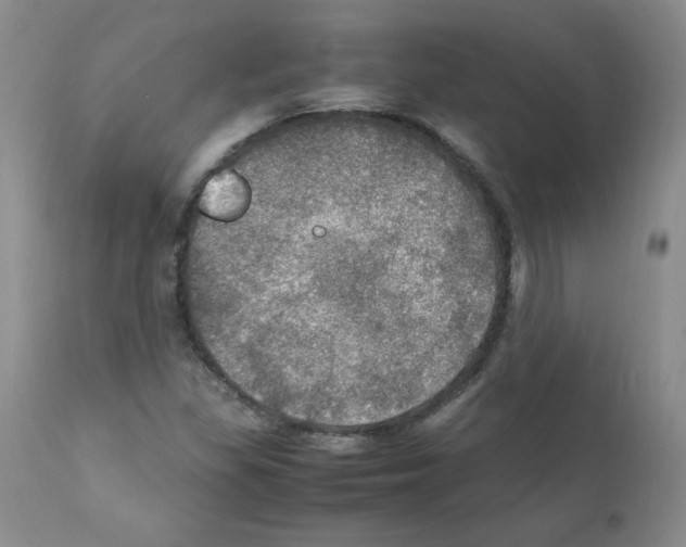 X0000112011309200909141116