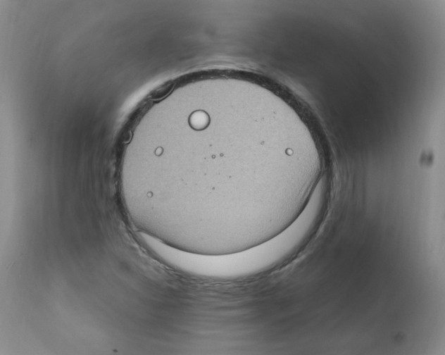 X0000112011310200909141116