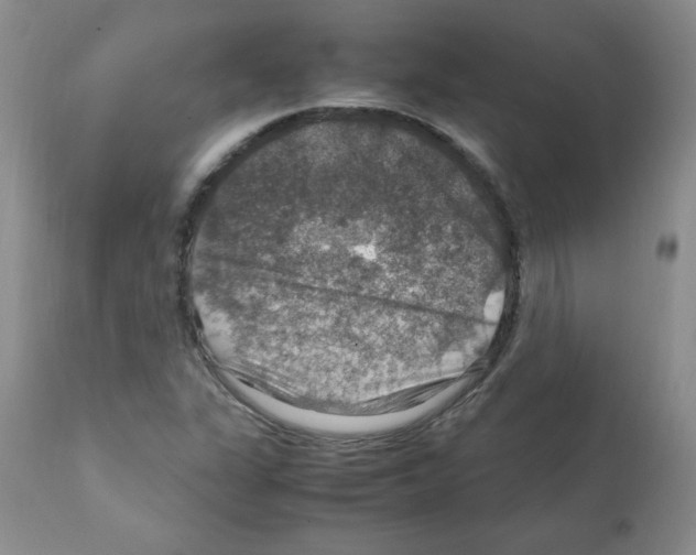 X0000112011311200909141116