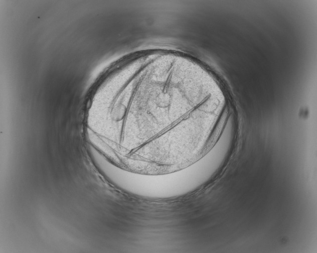 X0000112011312200909141116