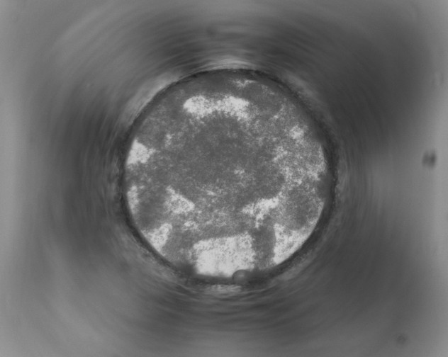 X0000112011313200909141116