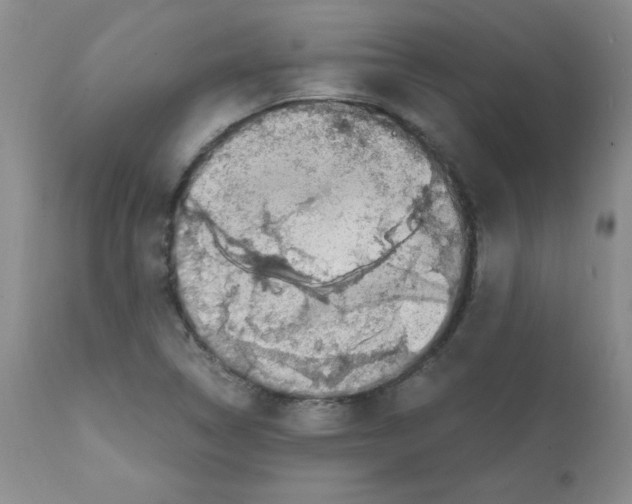 X0000112011314200909141116