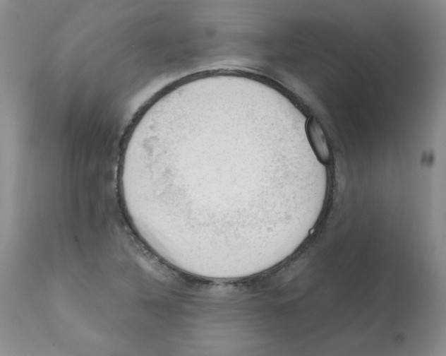 X0000112011316200909141116
