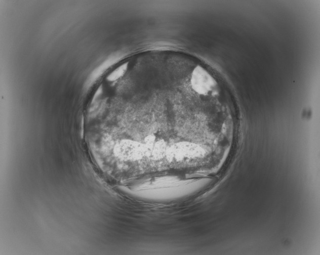 X0000112011317200909141116