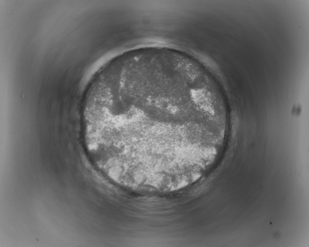 X0000112011318200909141116