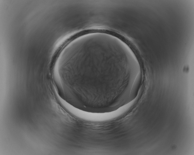 X0000112011319200909141116