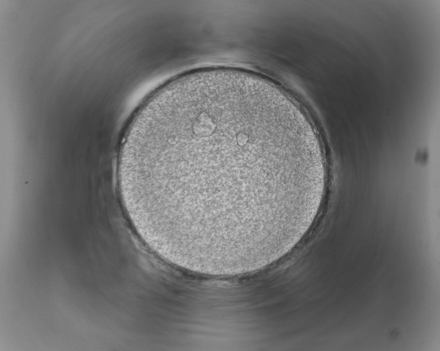 X0000112011320200909141116