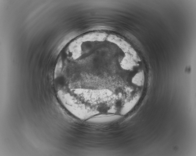 X0000112011321200909141116