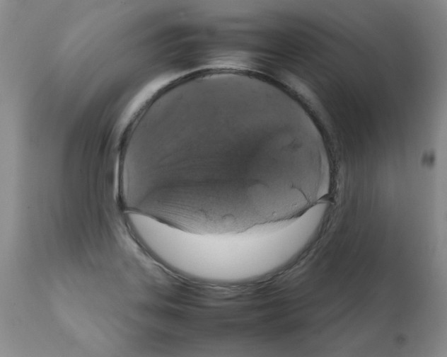 X0000112011323200909141116