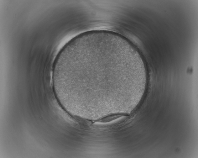 X0000112011324200909141116