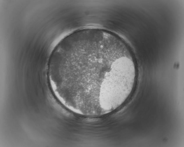 X0000112011325200909141116