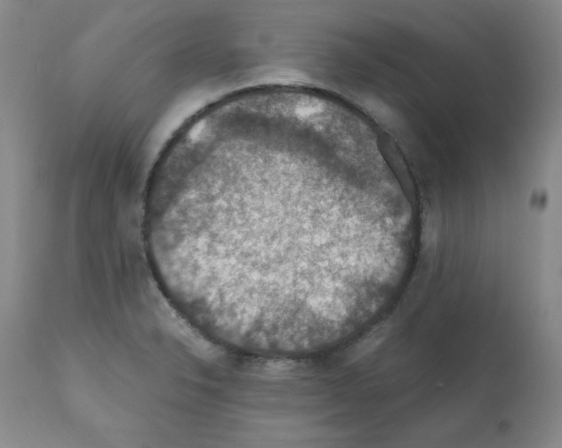 X0000112011326200909141116