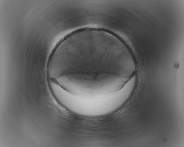 X0000112011327200909141116
