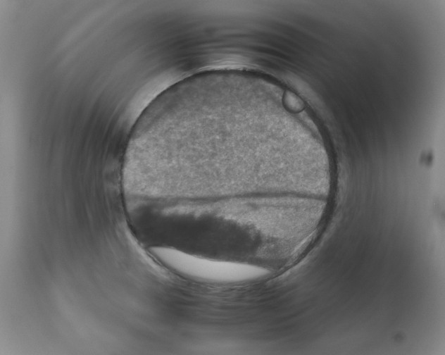 X0000112011329200909141116
