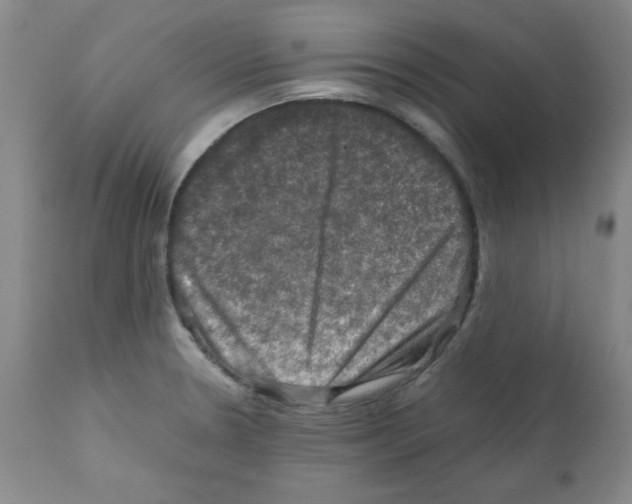 X0000112011330200909141116