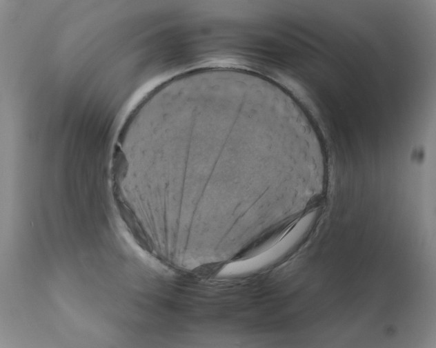 X0000112011331200909141116