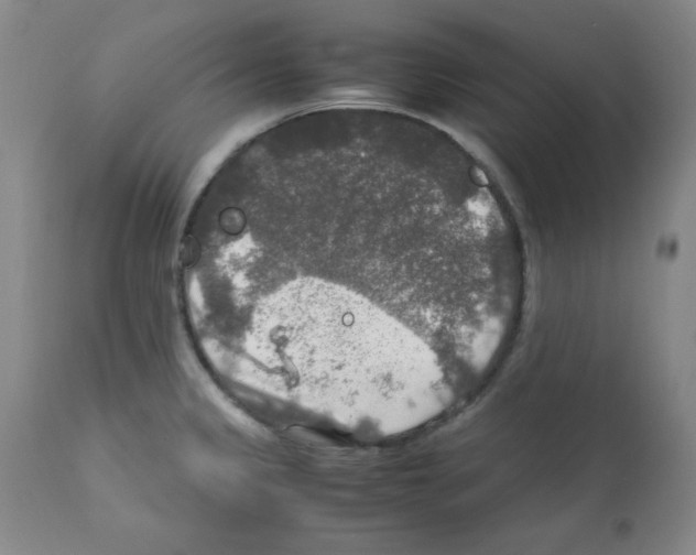 X0000112011333200909141116