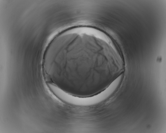 X0000112011334200909141117