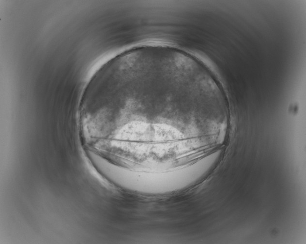 X0000112011335200909141117