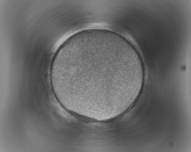 X0000112011336200909141117