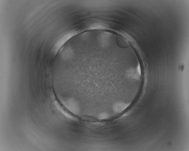 X0000112011337200909141117