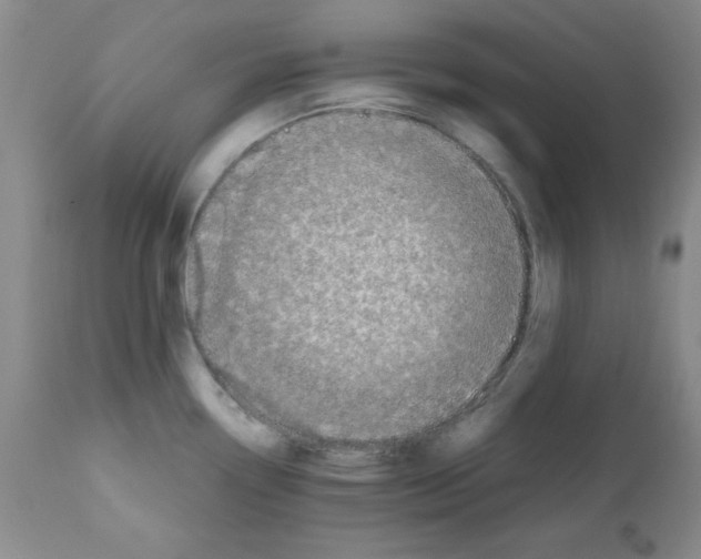 X0000112011338200909141117