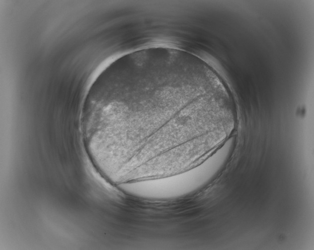 X0000112011339200909141117