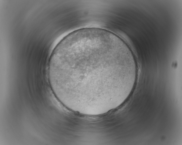 X0000112011340200909141117