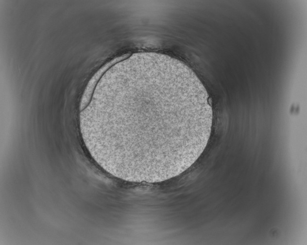 X0000112011345200909141116