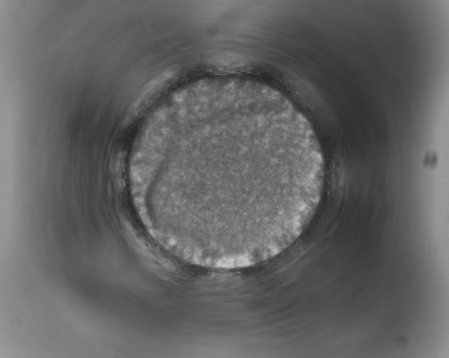 X0000112011346200909141116