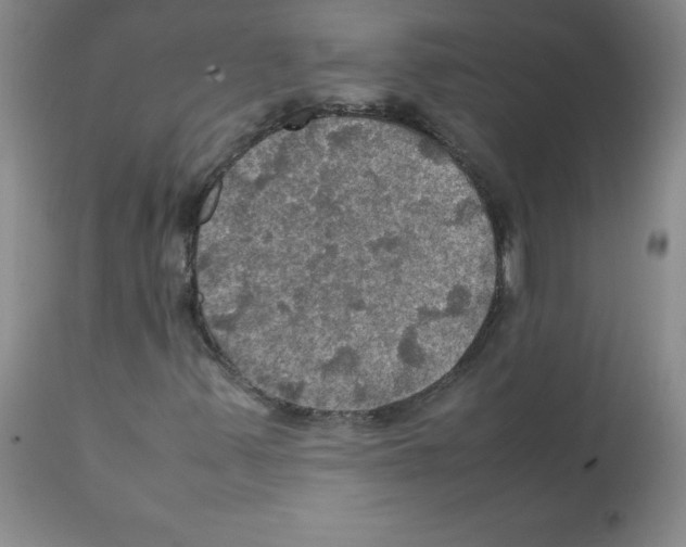 X0000112011347200909141116