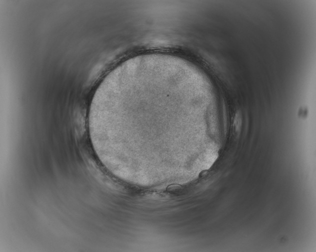 X0000112011348200909141116