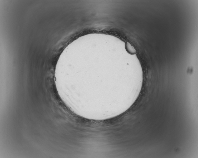 X0000112011349200909141116
