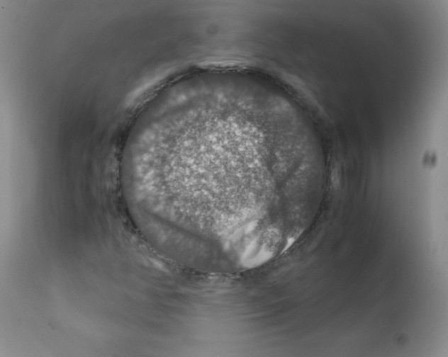 X0000112011350200909141116