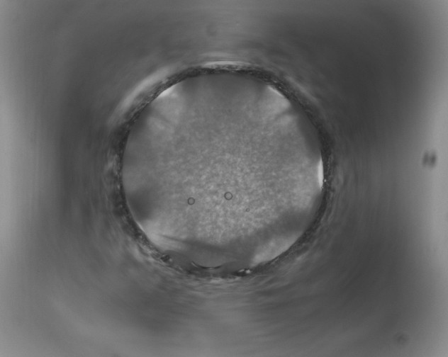 X0000112011351200909141116